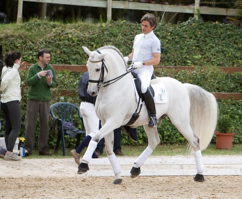 Man Riding White Horse — Focused, Afternoon, Photograph, Rider