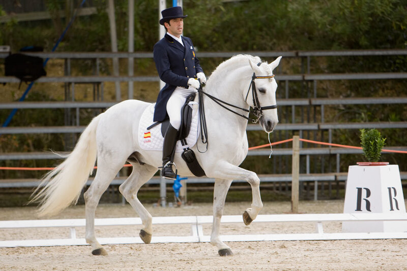 Man Riding White Horse — Focused, Afternoon