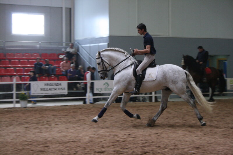 Man Riding White Horse — Focused, Photograph
