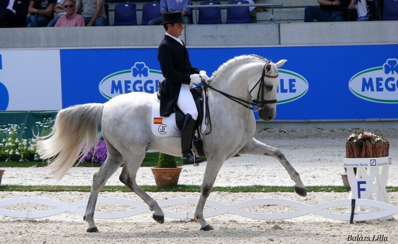 Man Riding White Horse — Focused