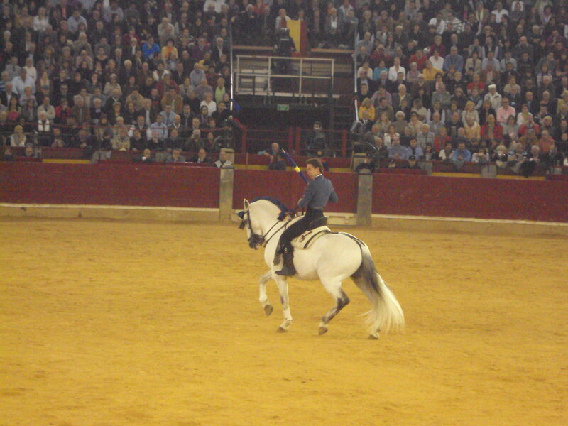 Man Riding White Horse