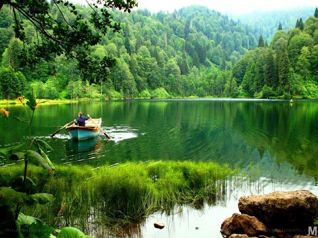 Man rowing boat on forest lake