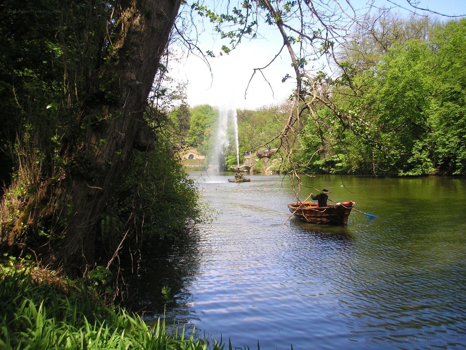 Man rowing boat on river