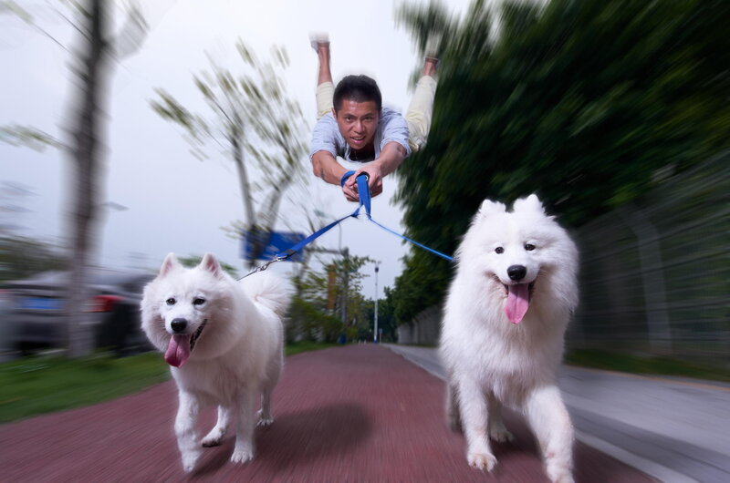 Man Running with Dogs
