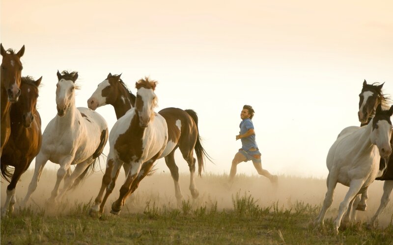 Man Running with Horses — White, Dynamic, Sunset, Photograph