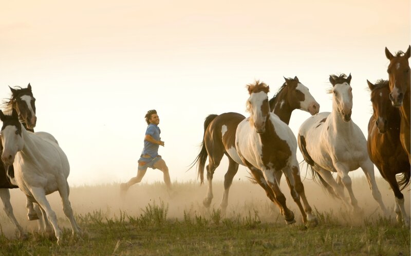 Man Running with Horses — White, Dynamic, Sunset