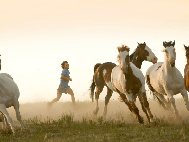 Man Running with Horses — White, Dynamic