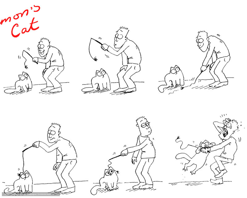 man's cat comic strip
