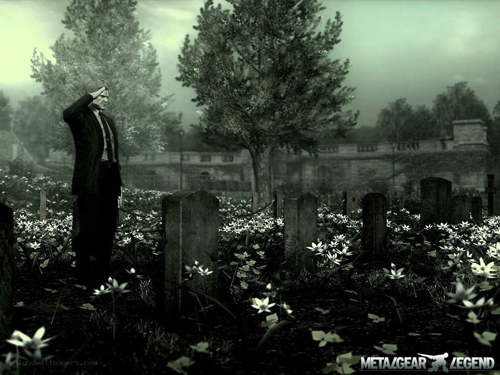 Man saluting in a cemetery
