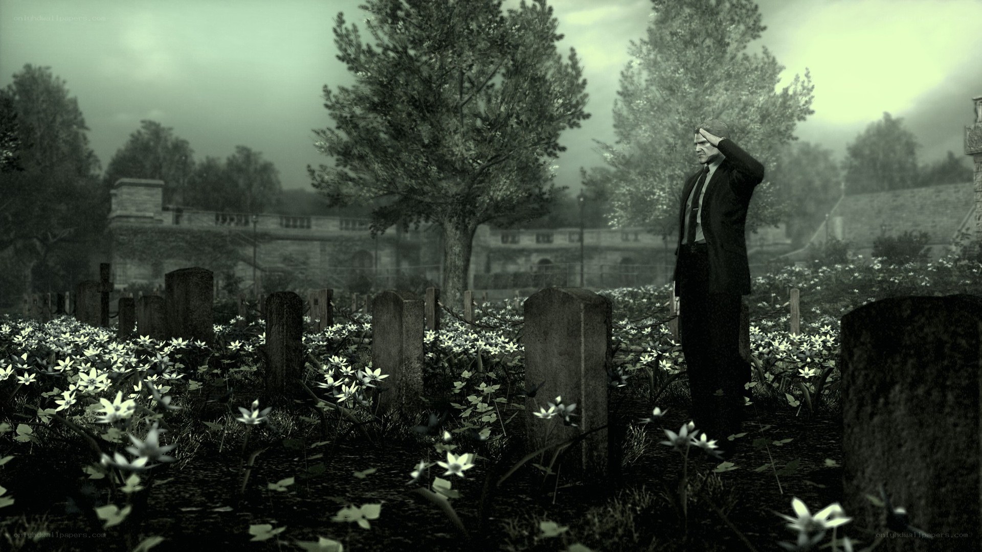 Man saluting in a cemetery