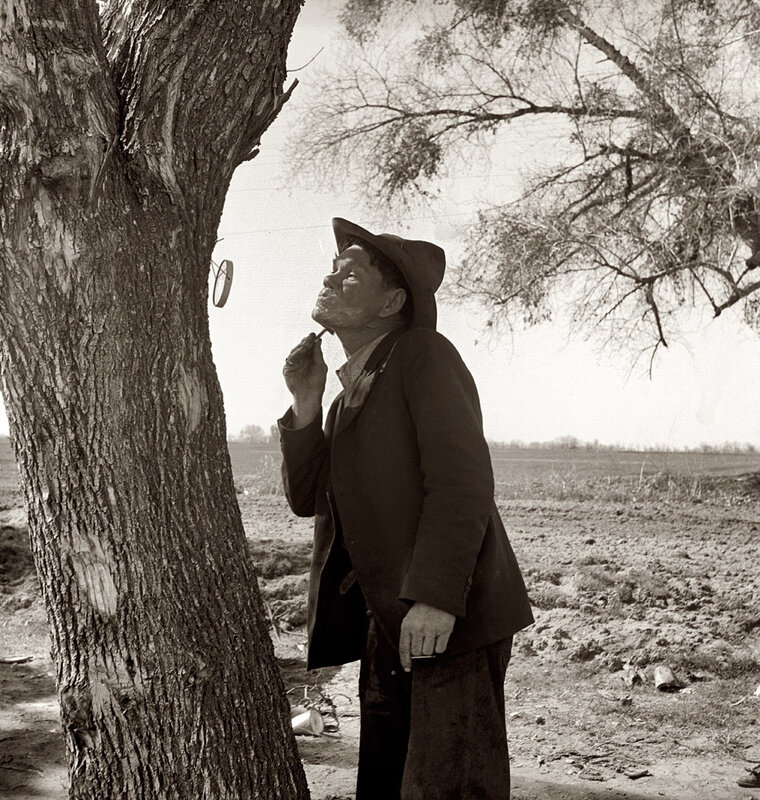 man shaving by tree