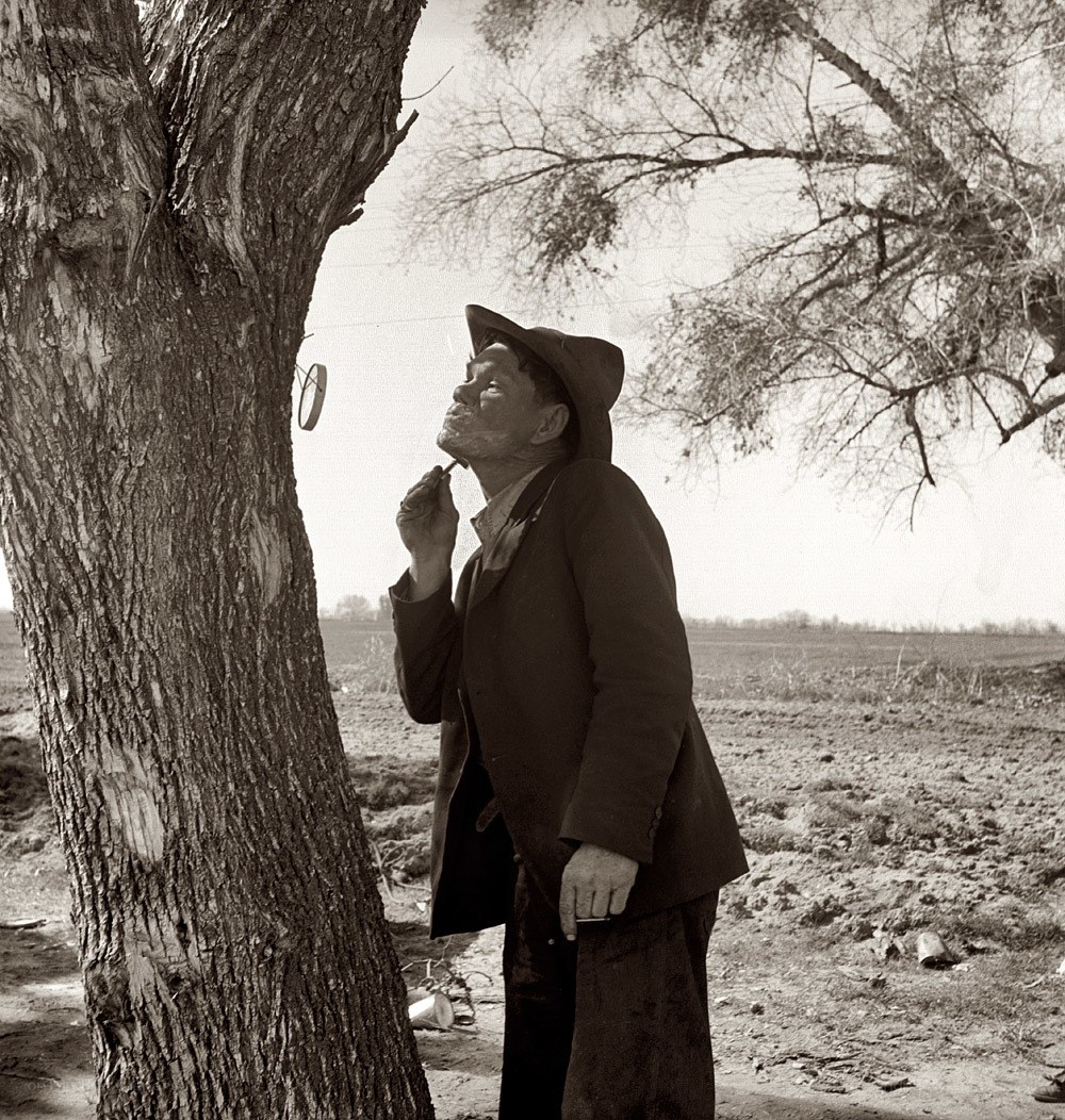 man shaving by tree
