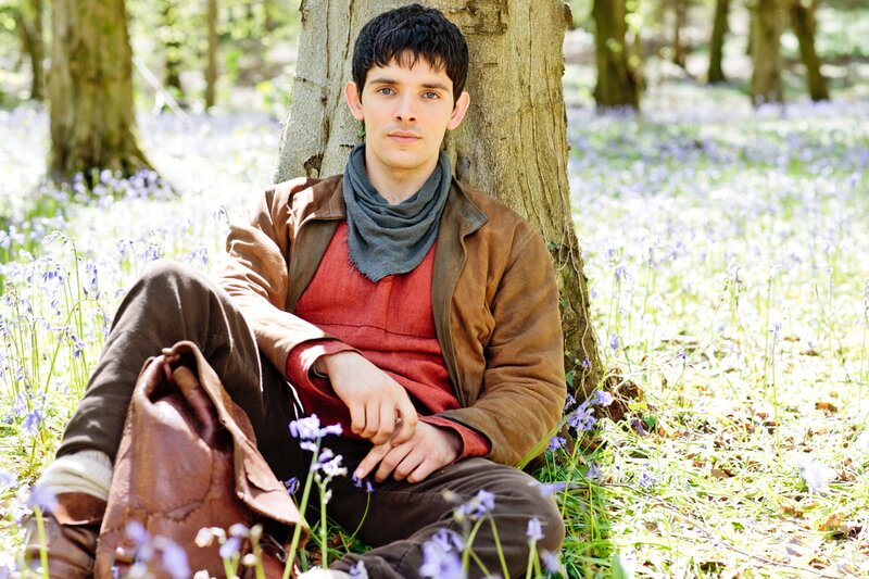 Man Sitting in Forest — Brown