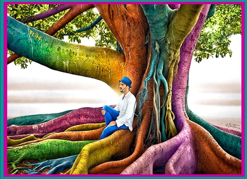 Man Sitting in Tree