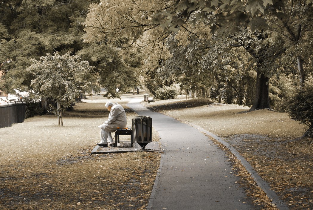 Man sitting on a park bench