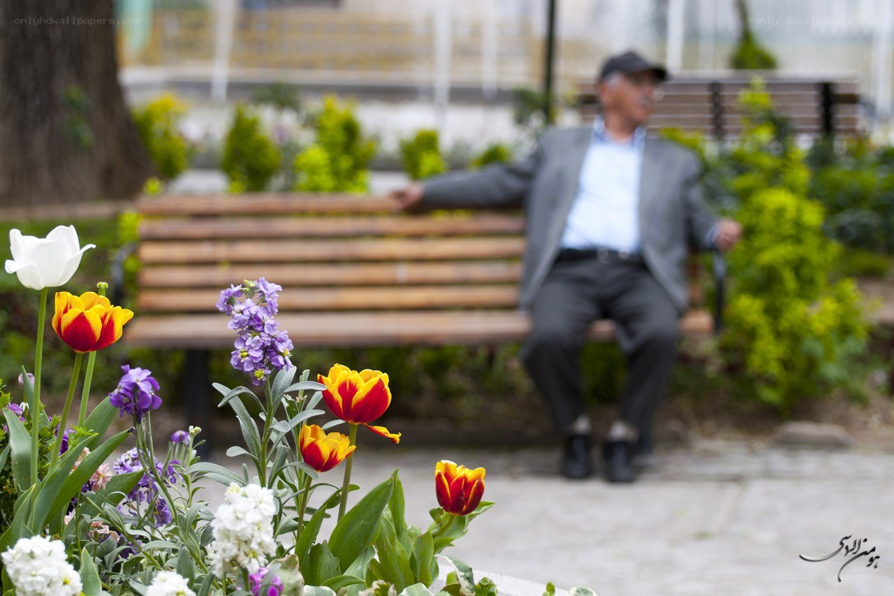 Man sitting on a park bench