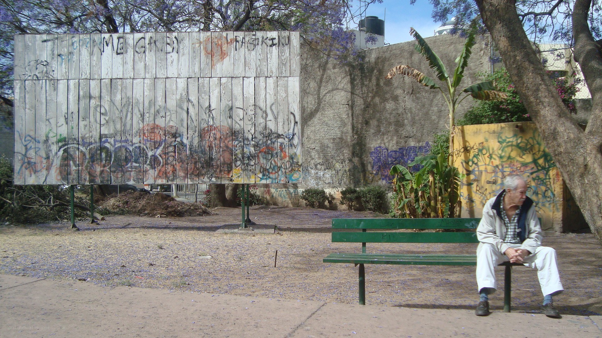 Man sitting on a park bench