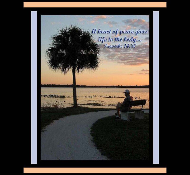 Man Sitting on Bench — Blue