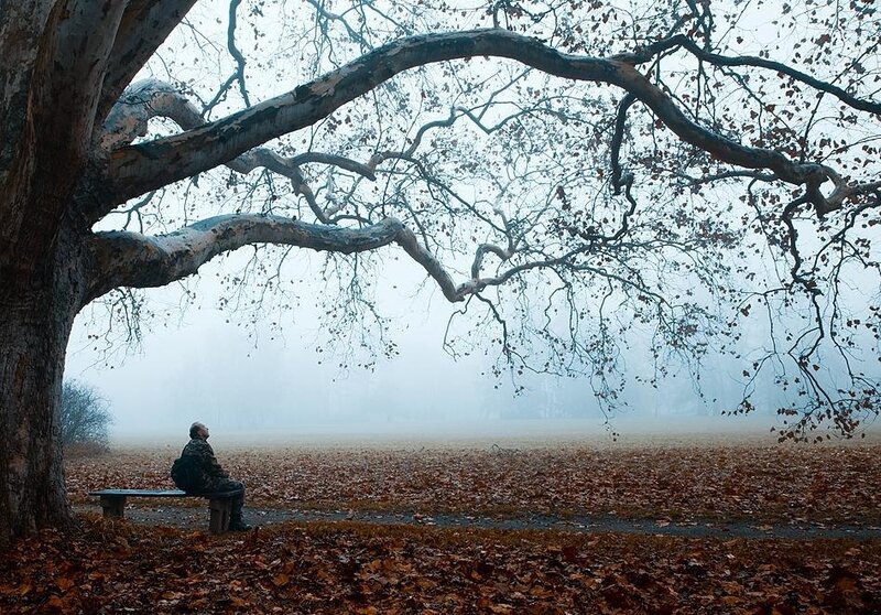 Man Sitting on Bench — Brown