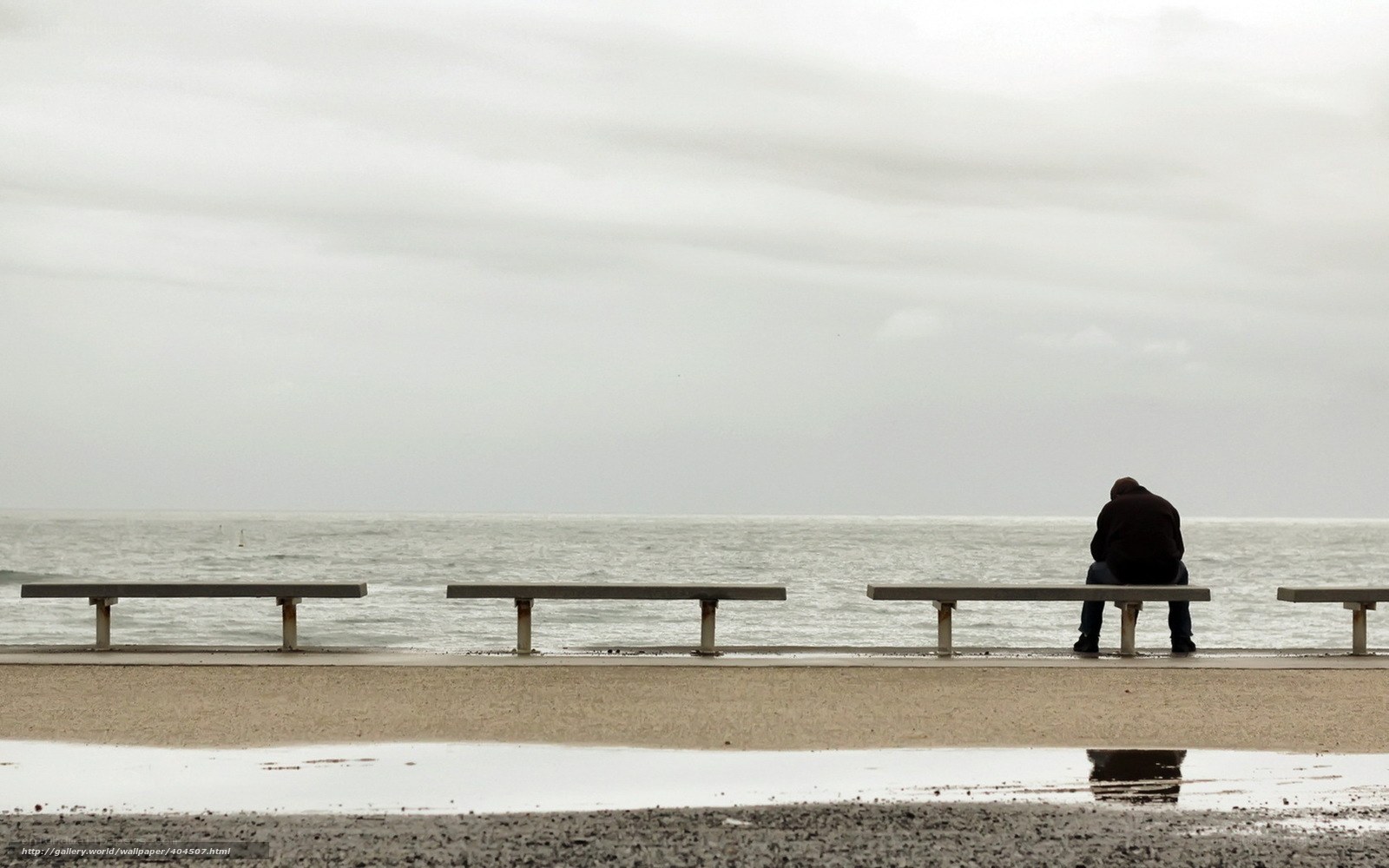 Man sitting on bench by sea