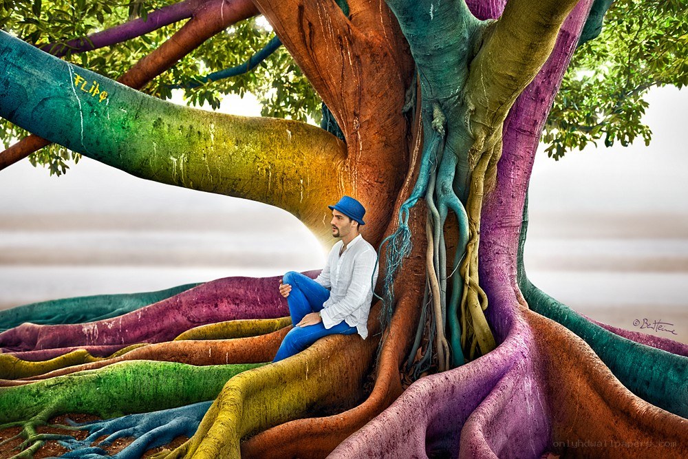 Man sitting on colorful tree roots