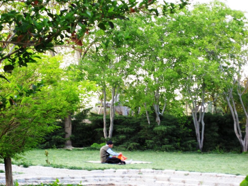 Man Sitting on Grass