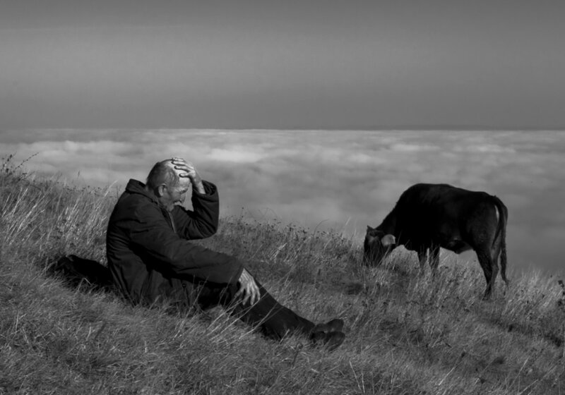 Man Sitting on Hillside — Black