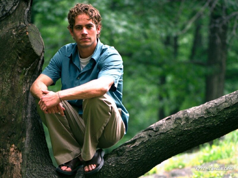 Man Sitting on Tree Branch