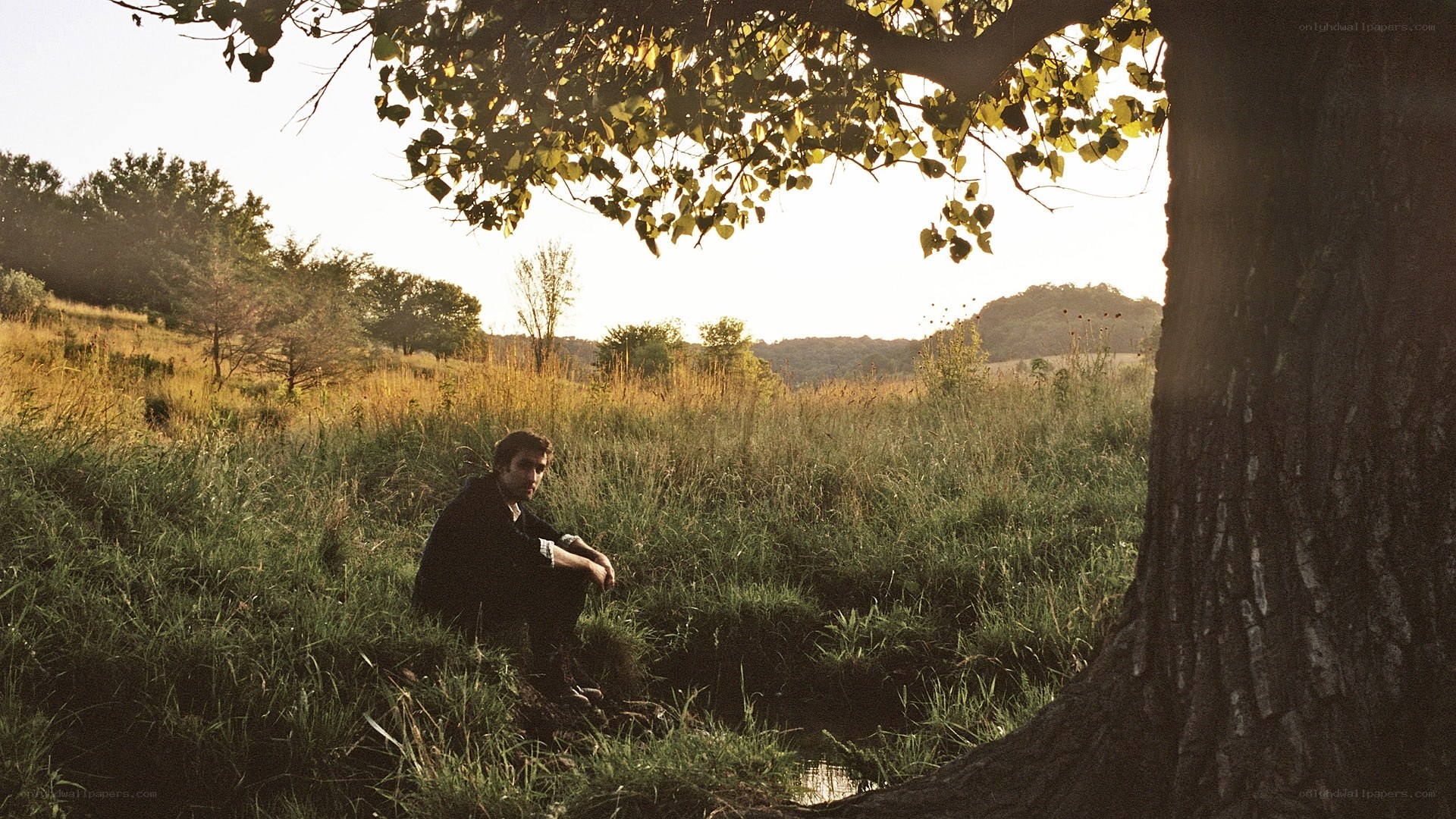 Man sitting under a tree