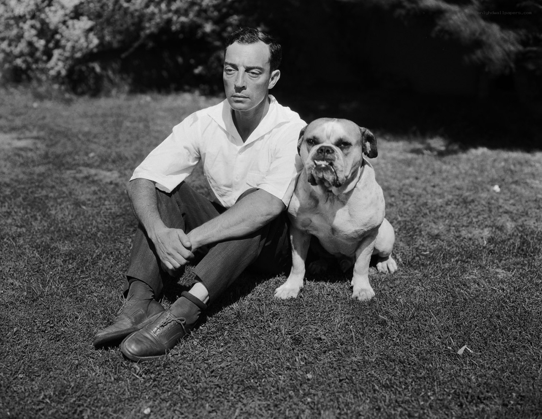 man sitting with dog on grass