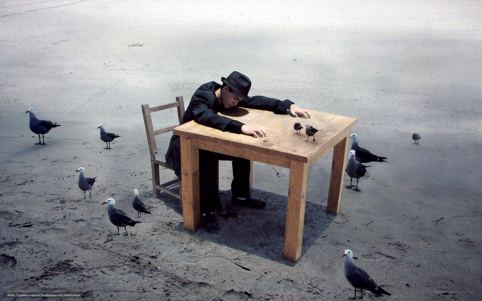 Man sleeping at table with birds