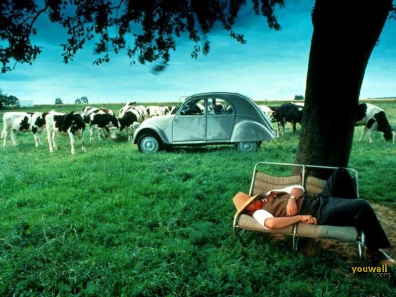 Man Sleeping on Bench