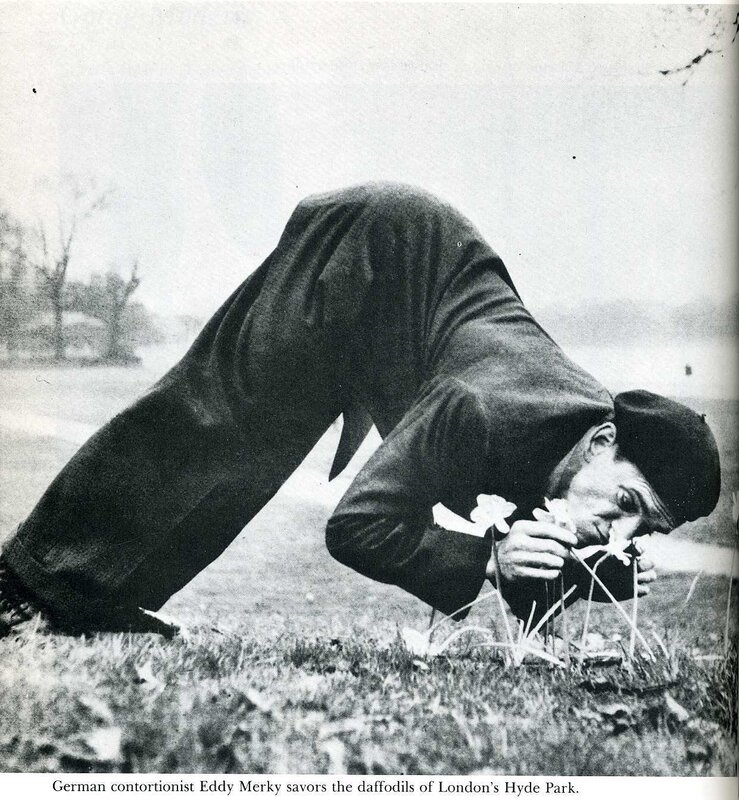 man smelling daffodils