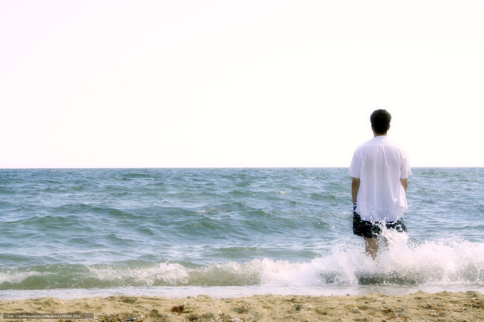 Man standing at the shoreline