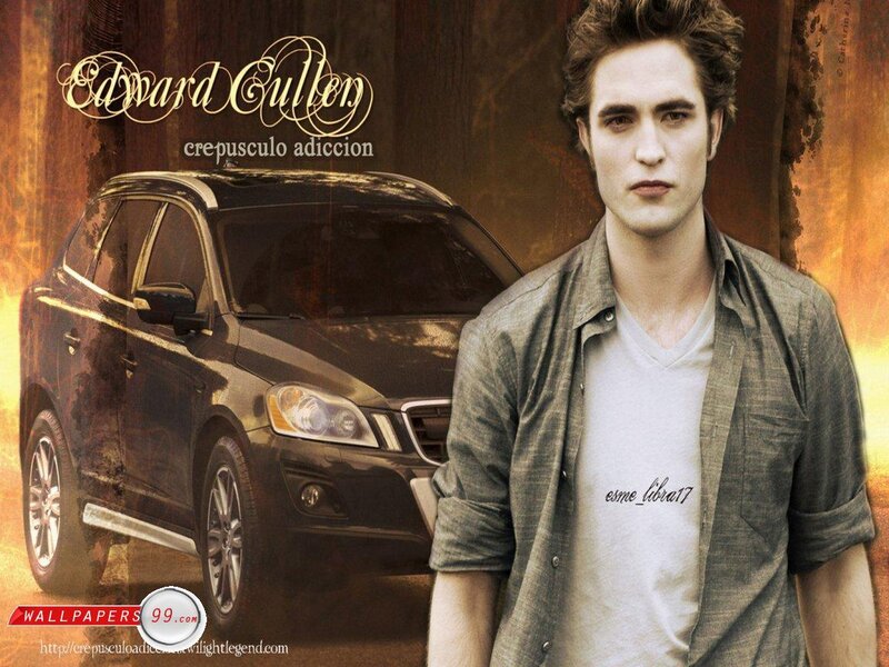 Man Standing Beside Car — Brown