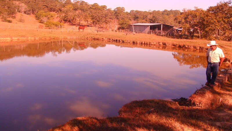 Man Standing by Pond