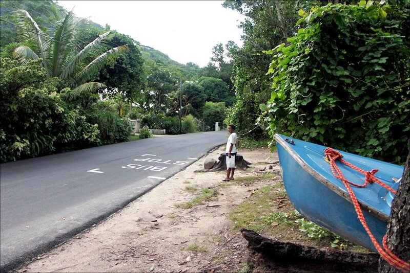 Man Standing by Road