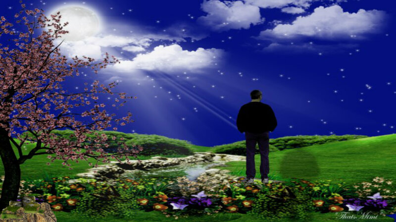 Man Standing in Garden