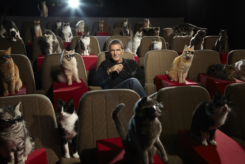 Man Surrounded by Cats — Black