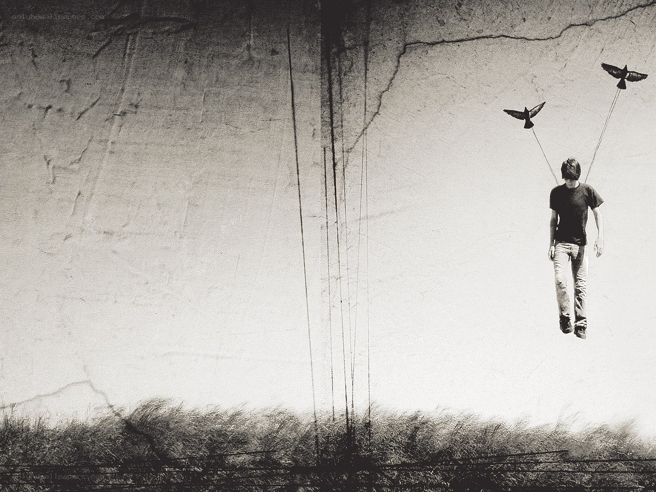 Man suspended by birds