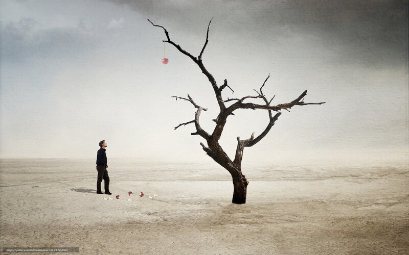 man under a barren tree