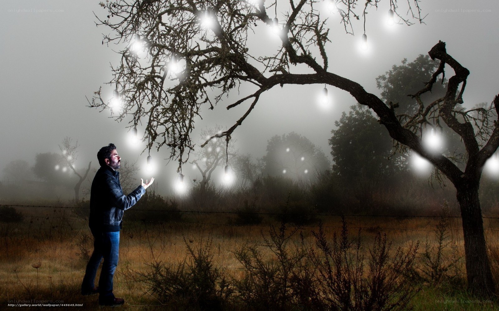 Man under glowing tree