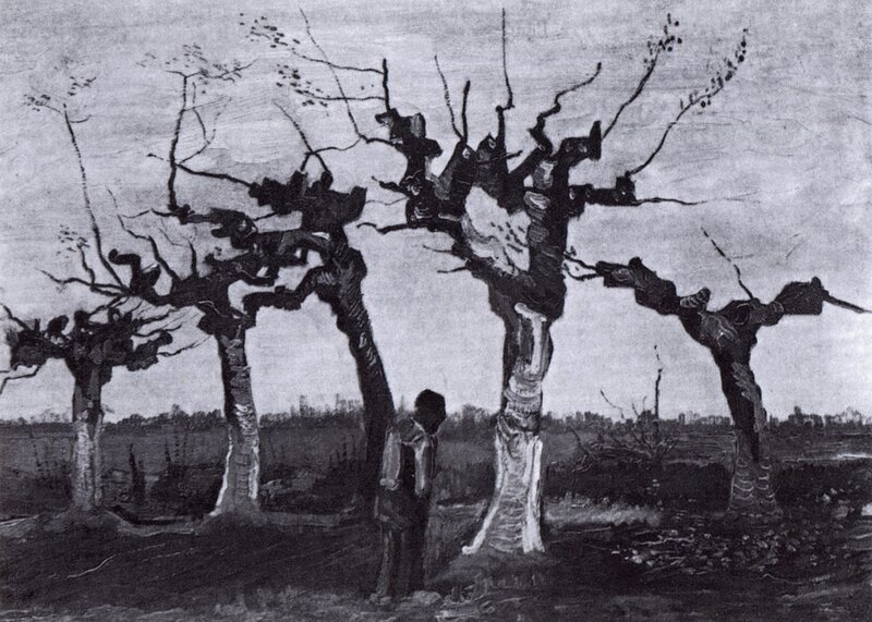 Man under leafless trees