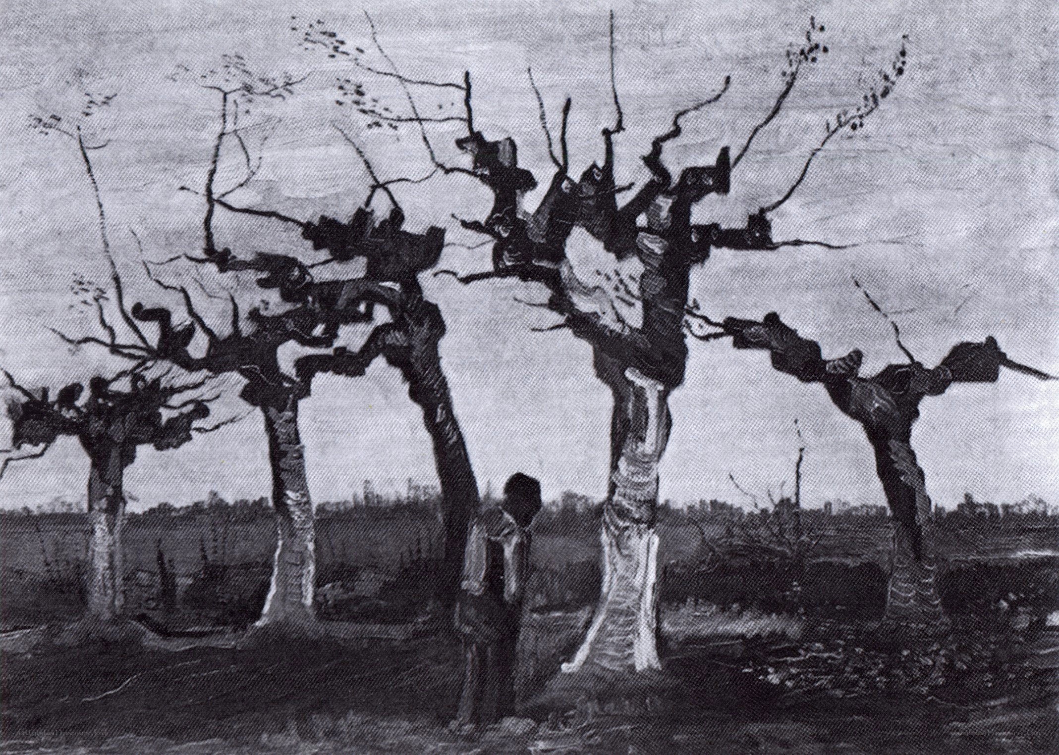 Man under leafless trees