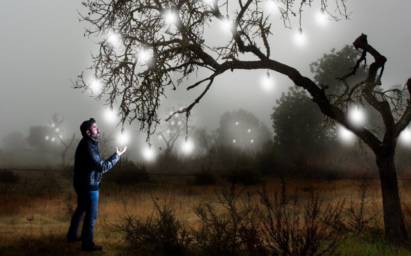 Man under Lit Tree