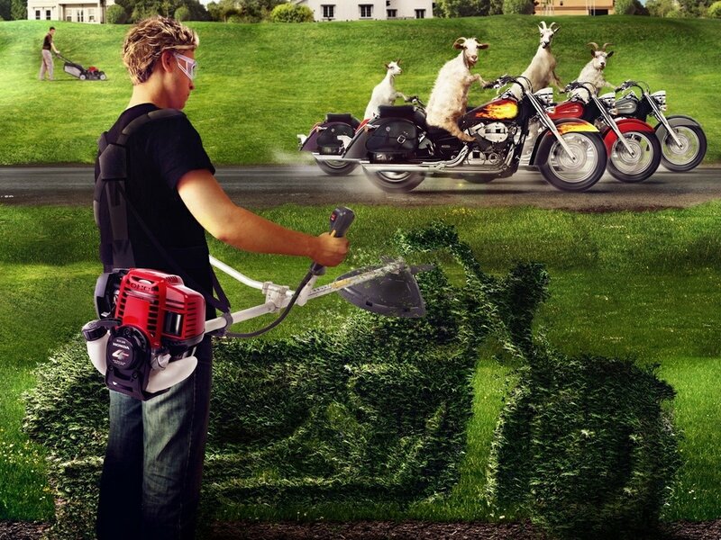 Man Using Weed Wacker