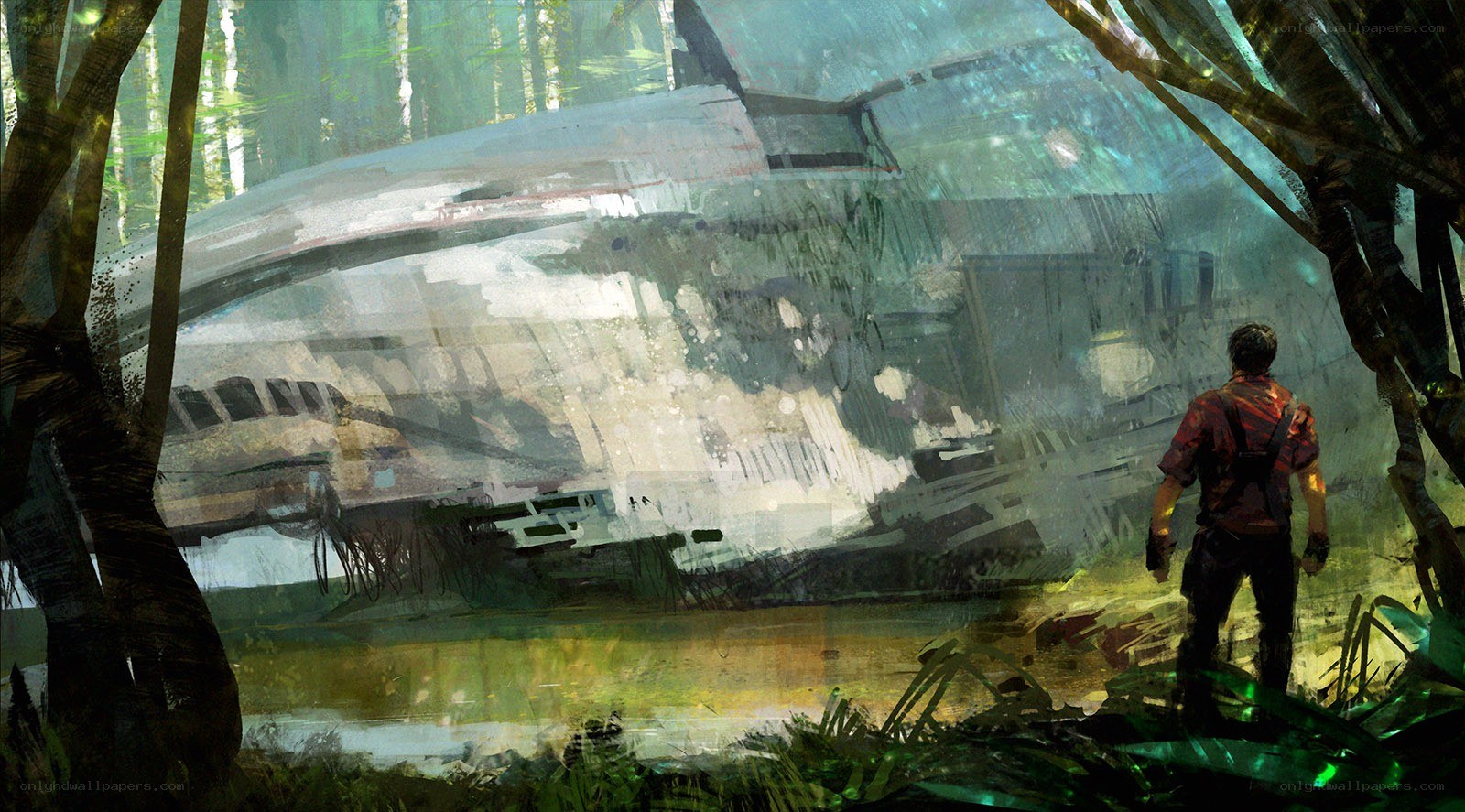 man viewing crashed spacecraft