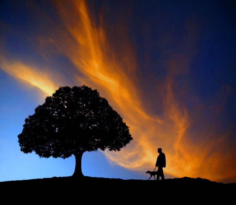 Man Walking Dog — Blue