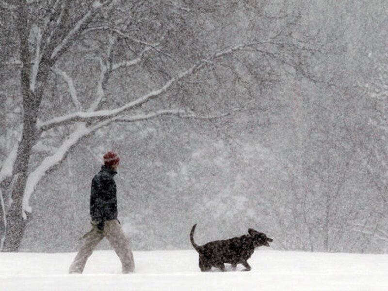 Man Walking Dog in Snow — White, Cold