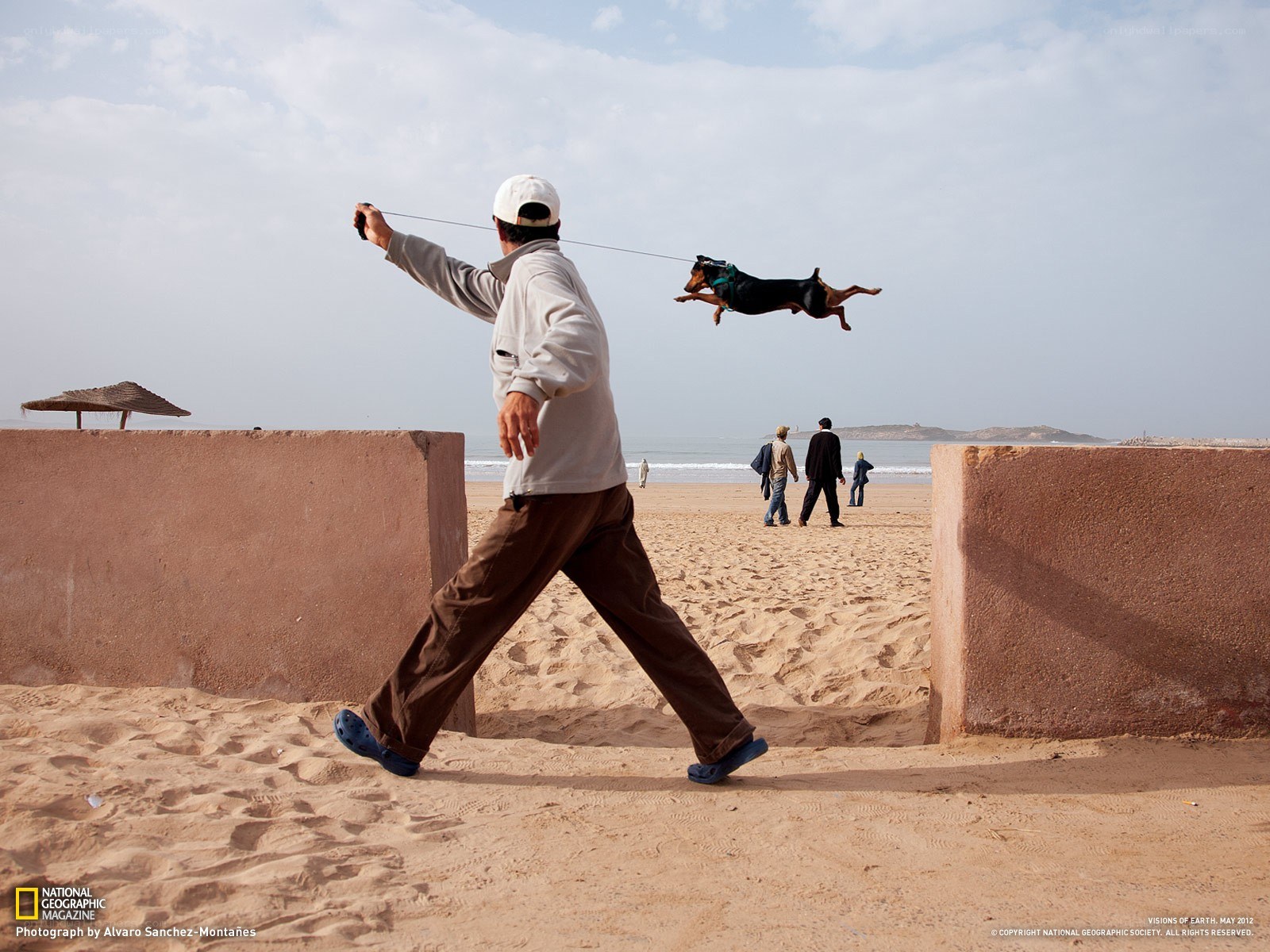 Man walking dog on beach